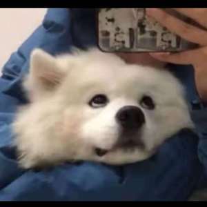 米塔瑟瑟的脚丫子图片
