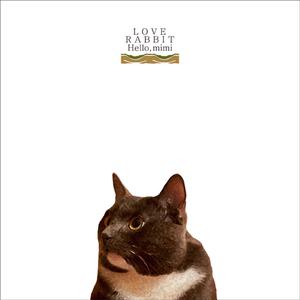 米塔瑟瑟的脚丫子图片
