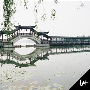 米塔瑟瑟的脚丫子图片
